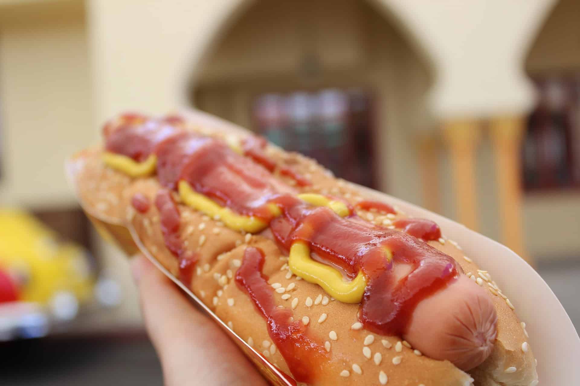 Dia do Cachorro-Quente: quanto custa o hot dog em universidades do